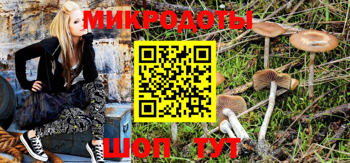 Псилоцибиновые грибы MAGIC MUSHROOMS Великие Луки