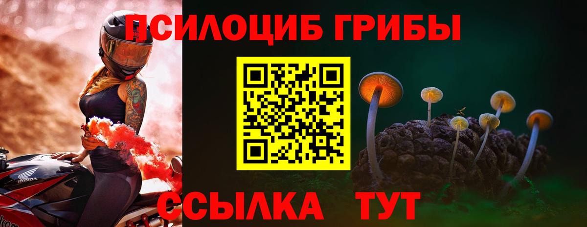 Псилоцибиновые грибы MAGIC MUSHROOMS  Вход с VPN  Великие Луки 